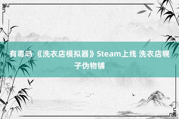 有毒吗 《洗衣店模拟器》Steam上线 洗衣店幌子伪物铺