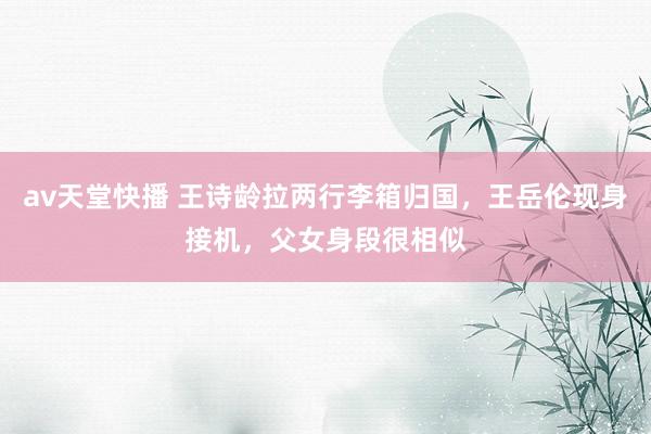 av天堂快播 王诗龄拉两行李箱归国，王岳伦现身接机，父女身段很相似