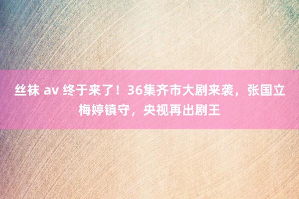 丝袜 av 终于来了！36集齐市大剧来袭，张国立梅婷镇守，央视再出剧王