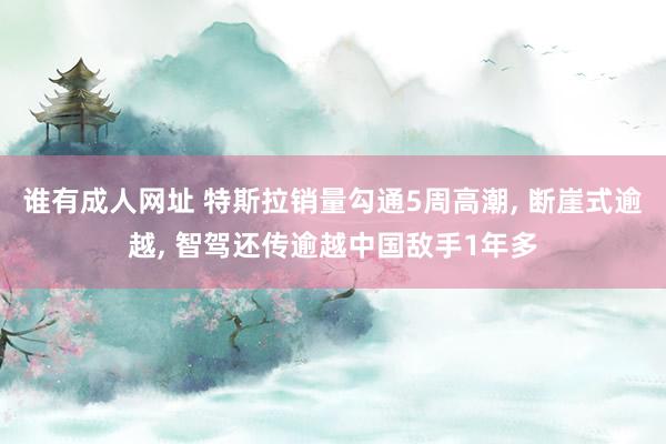 谁有成人网址 特斯拉销量勾通5周高潮, 断崖式逾越, 智驾还传逾越中国敌手1年多