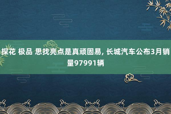 探花 极品 思找亮点是真顽固易, 长城汽车公布3月销量97991辆