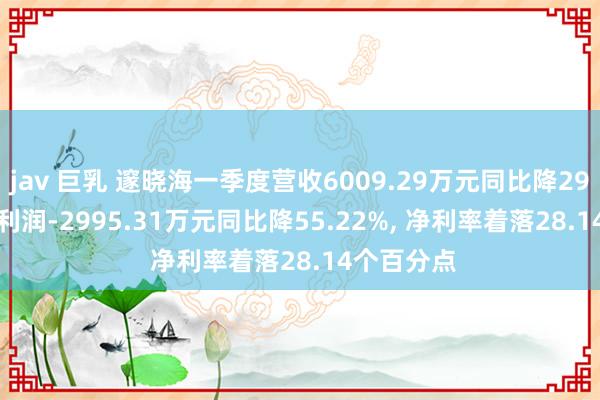 jav 巨乳 邃晓海一季度营收6009.29万元同比降29.41%, 净利润-2995.31万元同比降55.22%, 净利率着落28.14个百分点