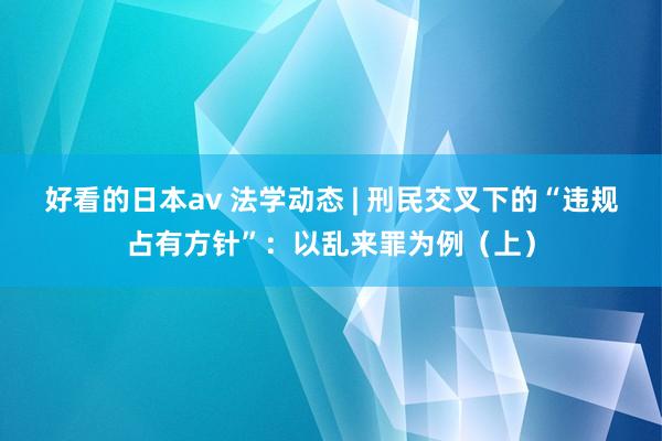 好看的日本av 法学动态 | 刑民交叉下的“违规占有方针”：以乱来罪为例（上）