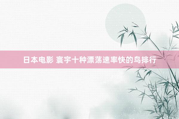 日本电影 寰宇十种漂荡速率快的鸟排行
