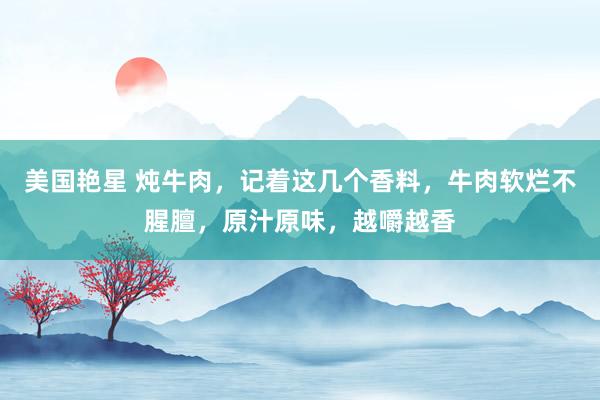 美国艳星 炖牛肉，记着这几个香料，牛肉软烂不腥膻，原汁原味，越嚼越香